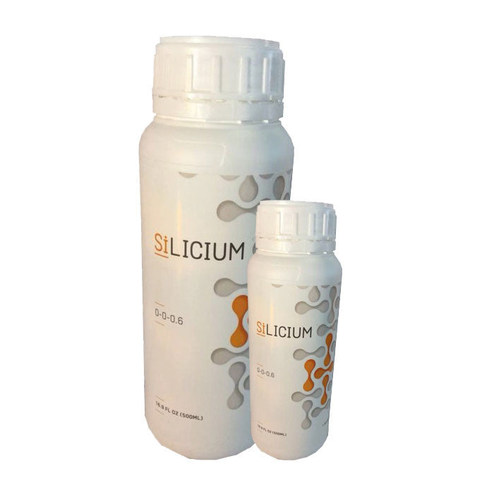 Silicium Mono Silic Acid 1000 ML